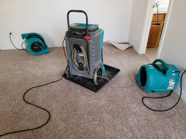 Best Carpet water damage restoration  in Mechanicsville, MD