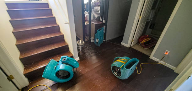 Reliable Mechanicsville, MD Water damage restoration Solutions