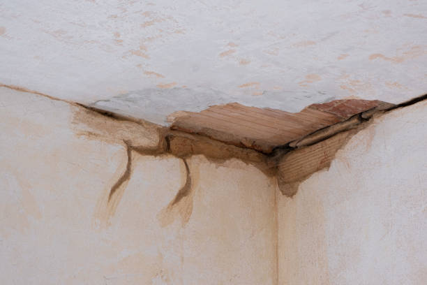 Best 24-hour water damage restoration  in Mechanicsville, MD