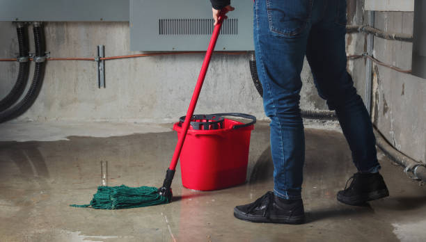 Best Sewage cleanup and water damage restoration  in Mechanicsville, MD