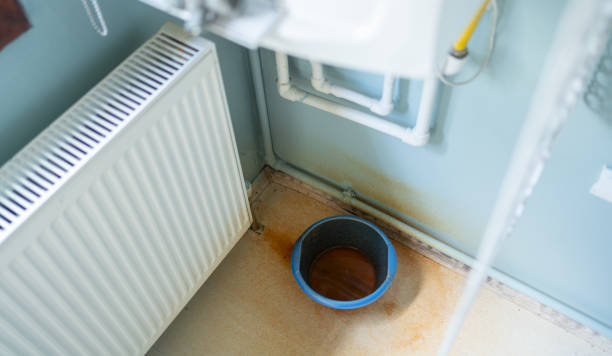 Best Water damage cleanup near me  in Mechanicsville, MD