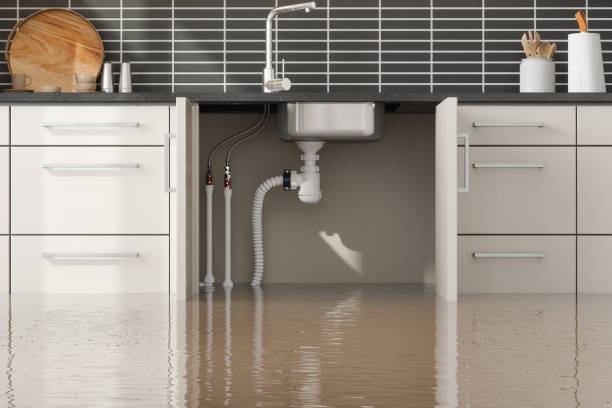 Best Water damage restoration insurance claims  in Mechanicsville, MD