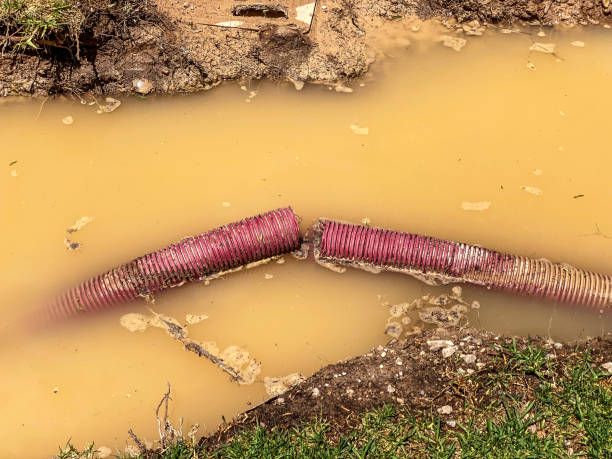 Best Professional water damage repair  in Mechanicsville, MD