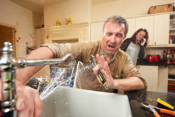 Best Flooded house restoration  in Mechanicsville, MD